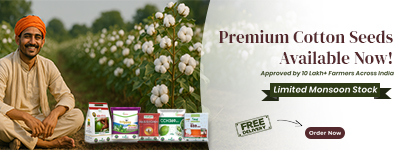 Cotton Seeds 2025 – All Varieties Promotional