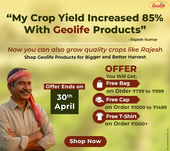 Geolife Offer