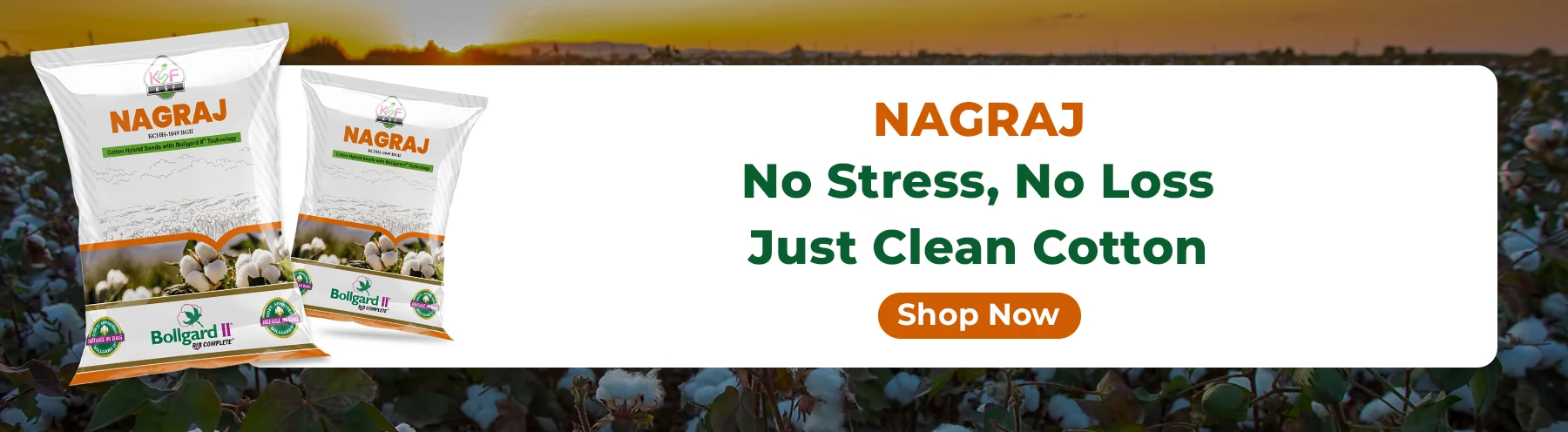 Nagraj BGII Cotton Seeds