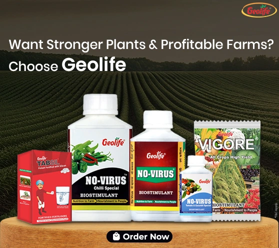 Test Geolife