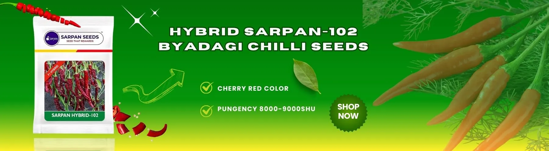  Sarpan - Chilli Seeds