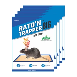 Mouse Glue Trap of Green Revolution